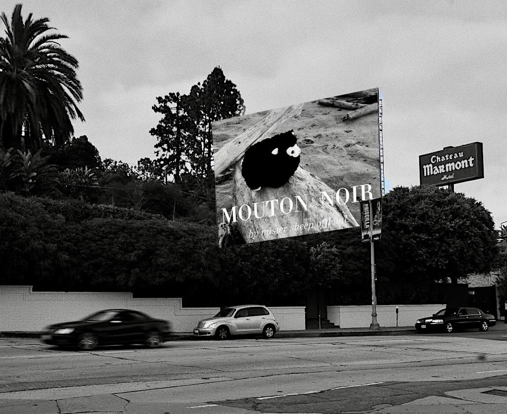 Mouton Noir - Mr. Black Sheep Official