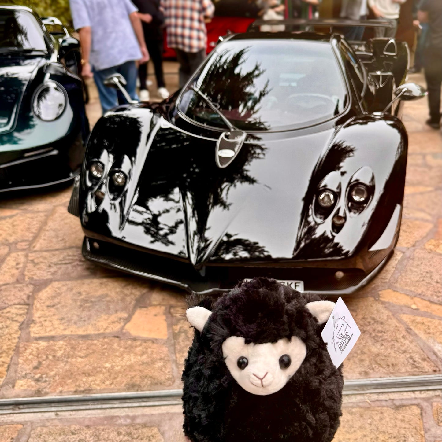 Mouton Noir - Mr. Black Sheep Official