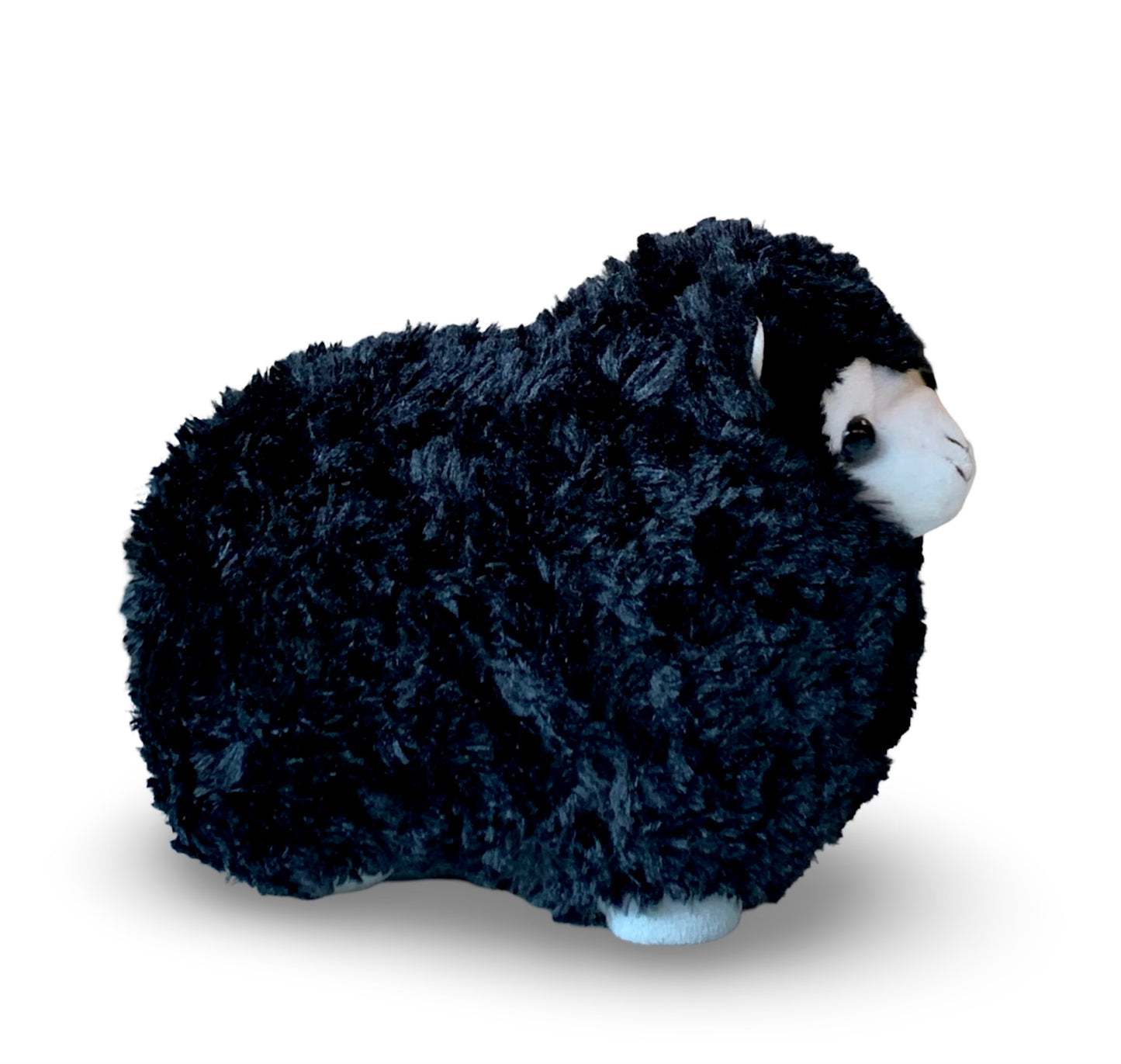 Mouton Noir - Mr. Black Sheep Official