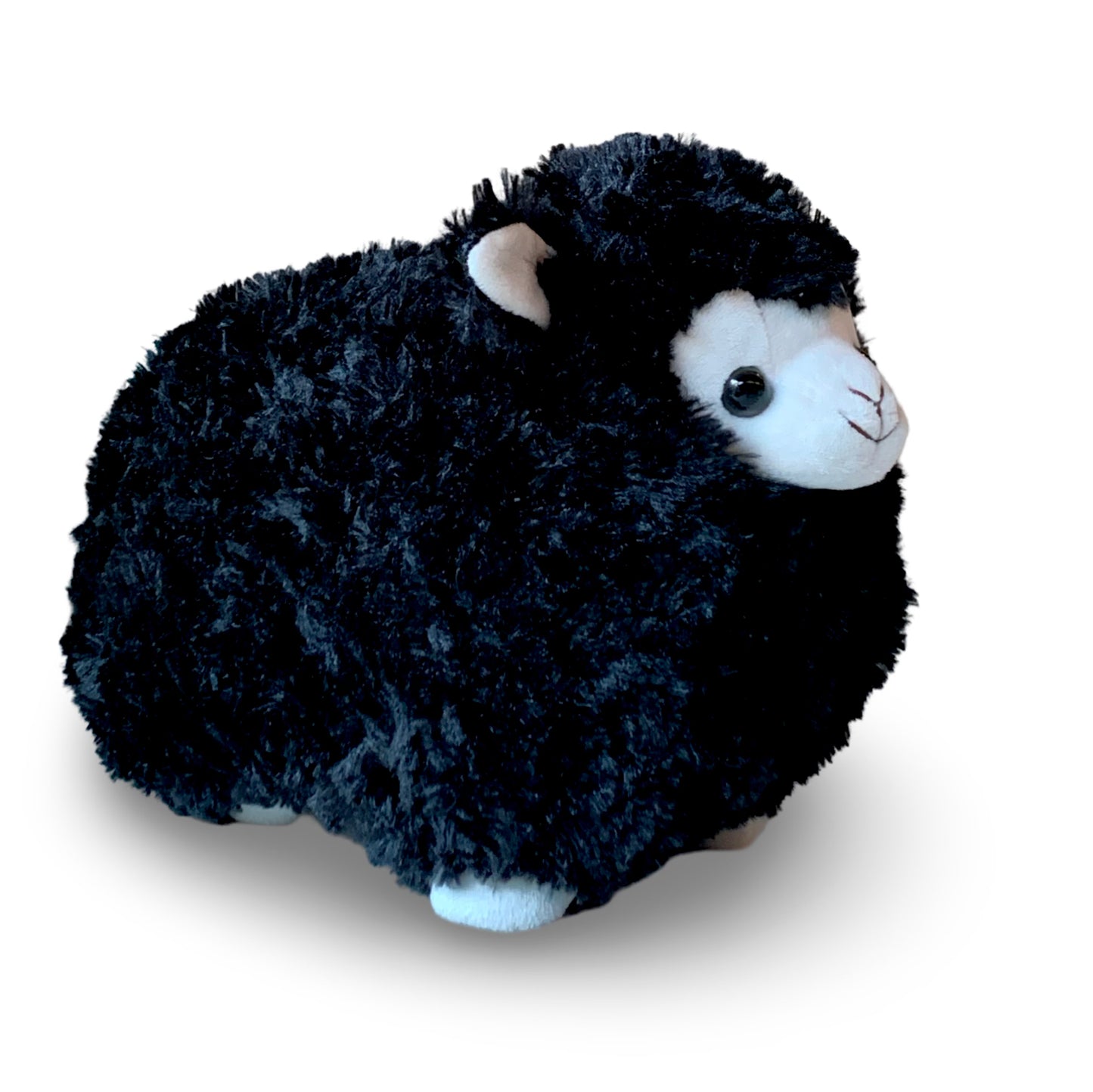 Mouton Noir - Mr. Black Sheep Official
