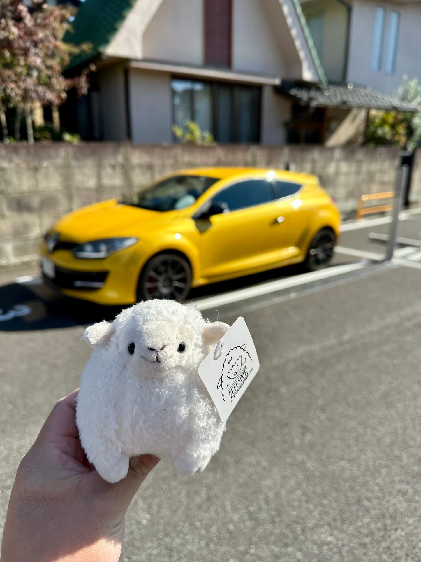 Mini Mr. Sheep Official