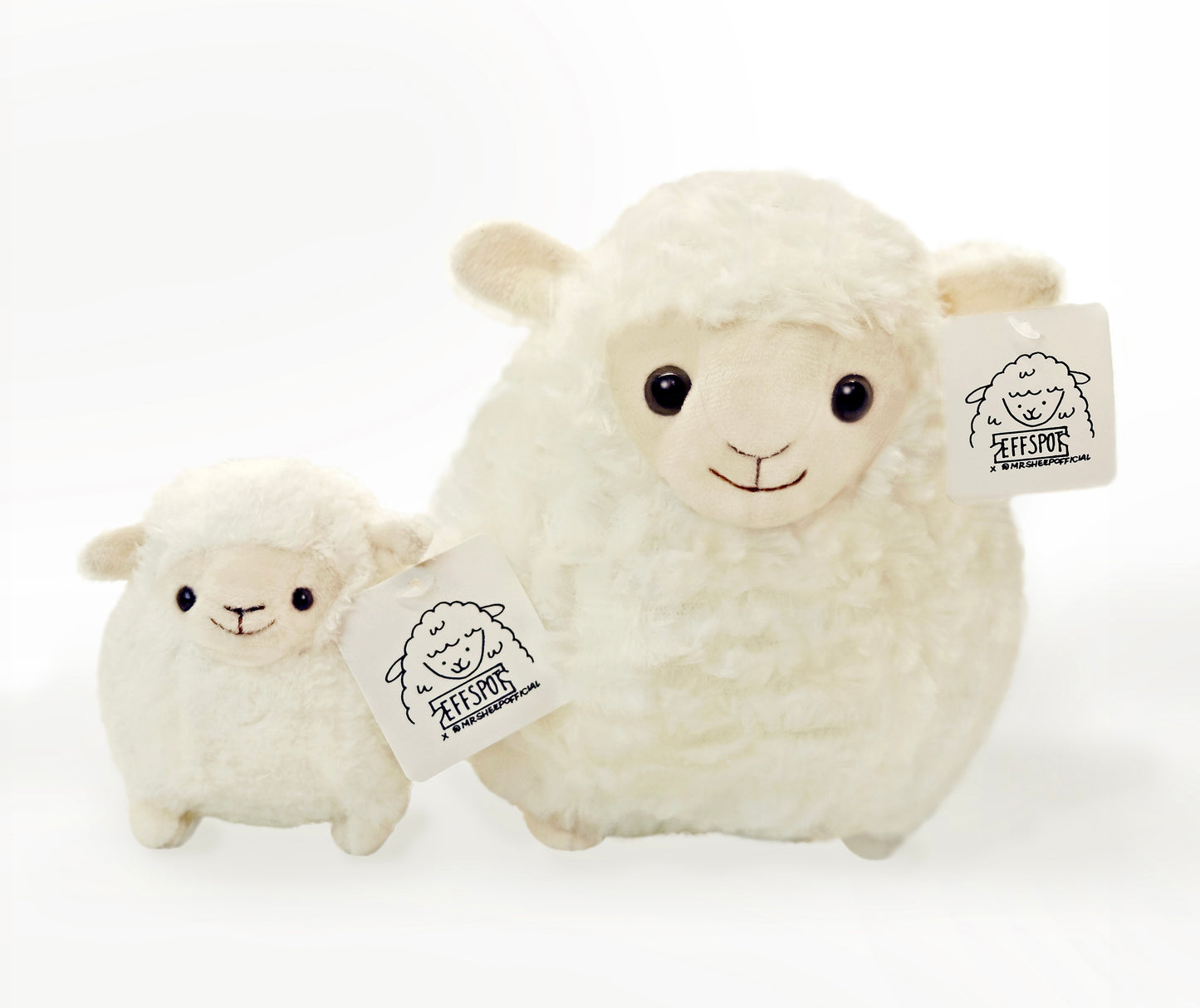 Mr. Sheep Official Herd